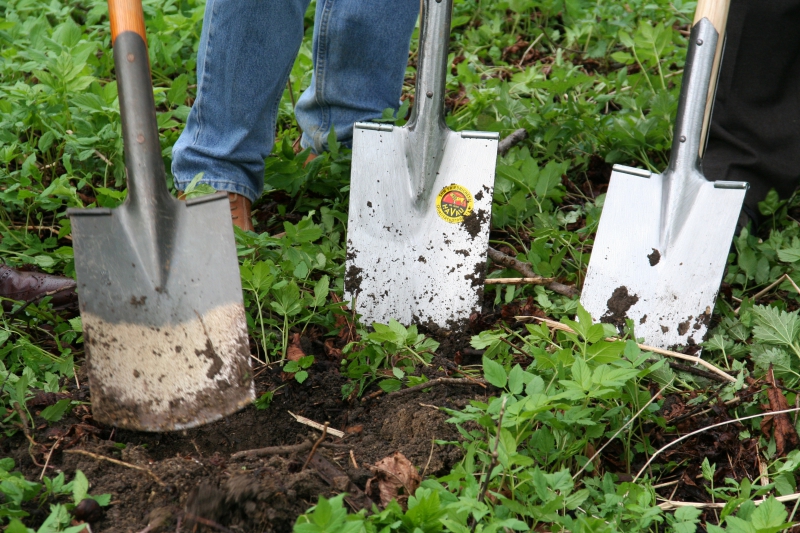 pepiniere-ST BLAISE-min_work-lawn-flower-tool-green-backyard-1103633-pxhere.com